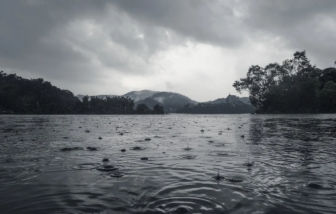 Photo wallpaper forest, the sky, clouds, trees, landscape, mountains, nature, lake