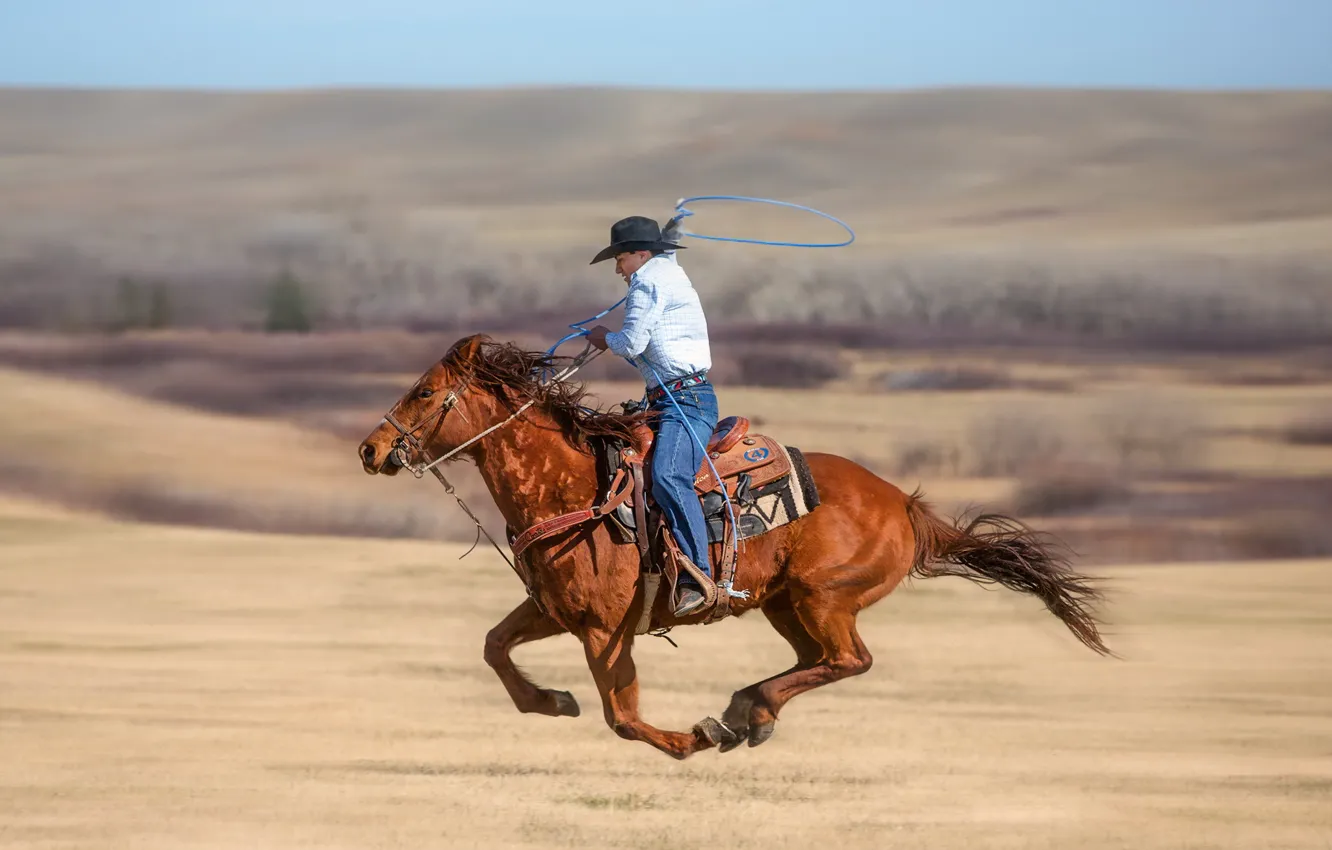 Photo wallpaper cowboy, roping, Lasso