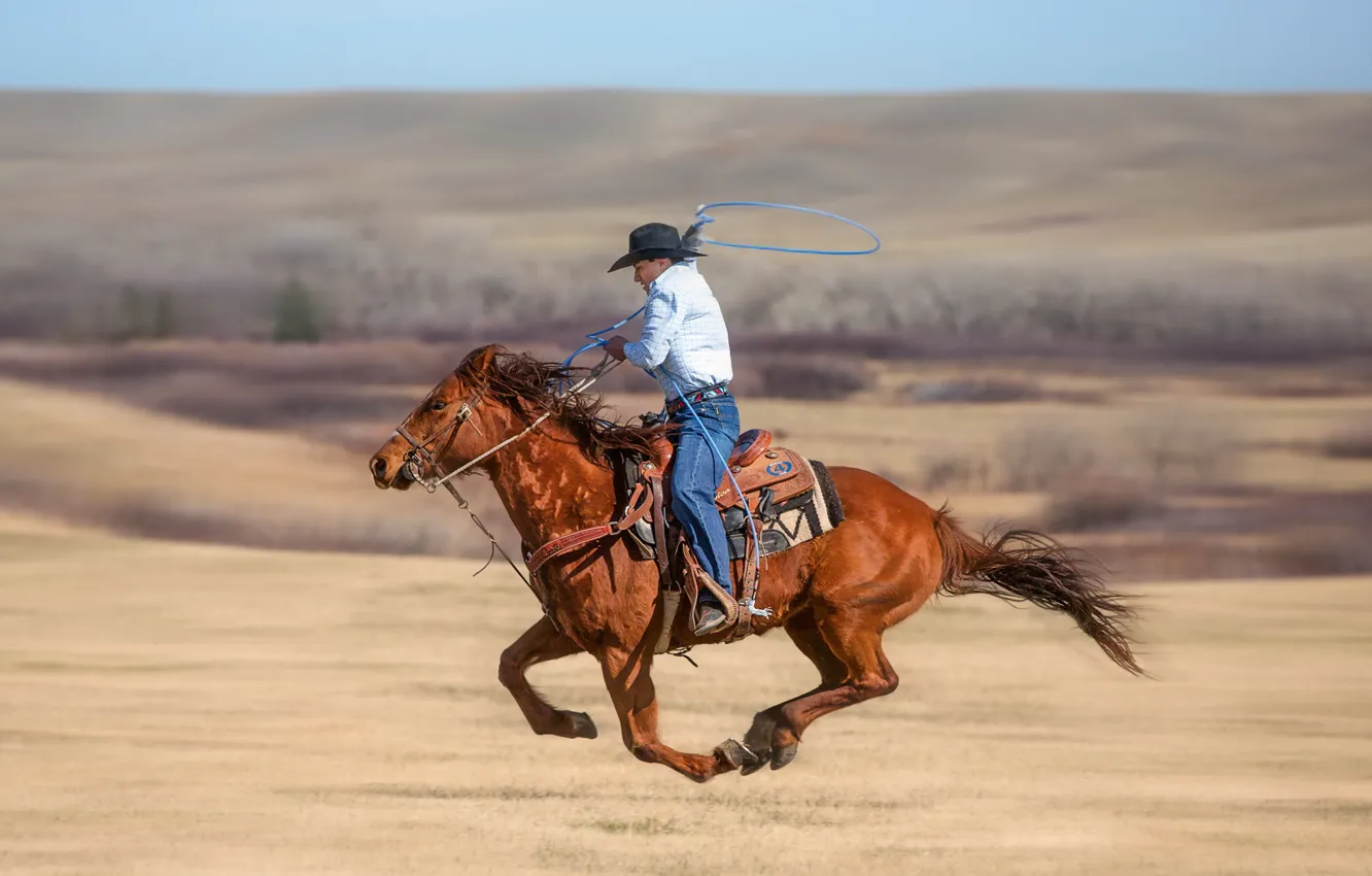 Photo wallpaper cowboy, lasso, roping