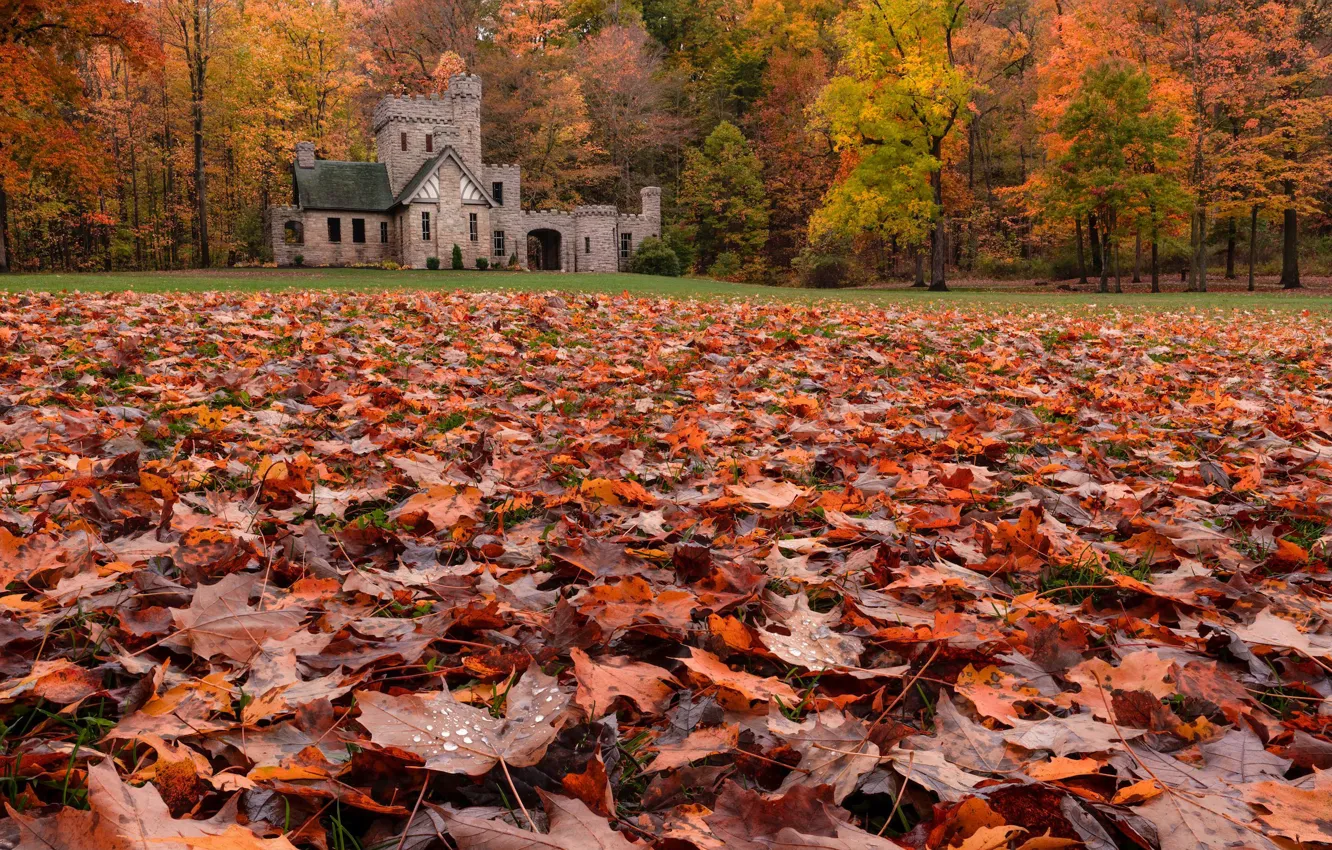 Photo wallpaper autumn, castle, glade, foliage
