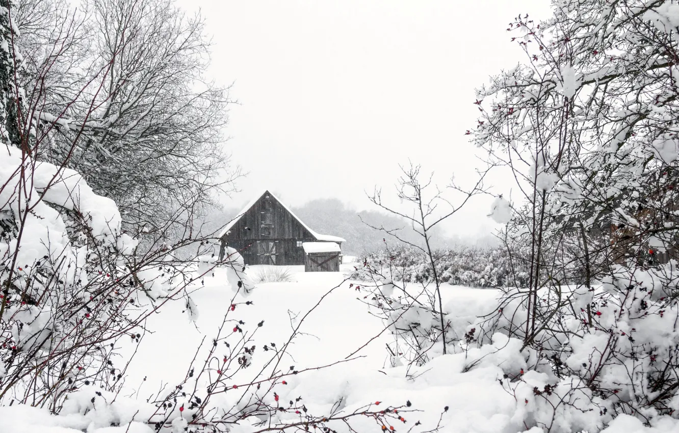 Photo wallpaper winter, snow, home