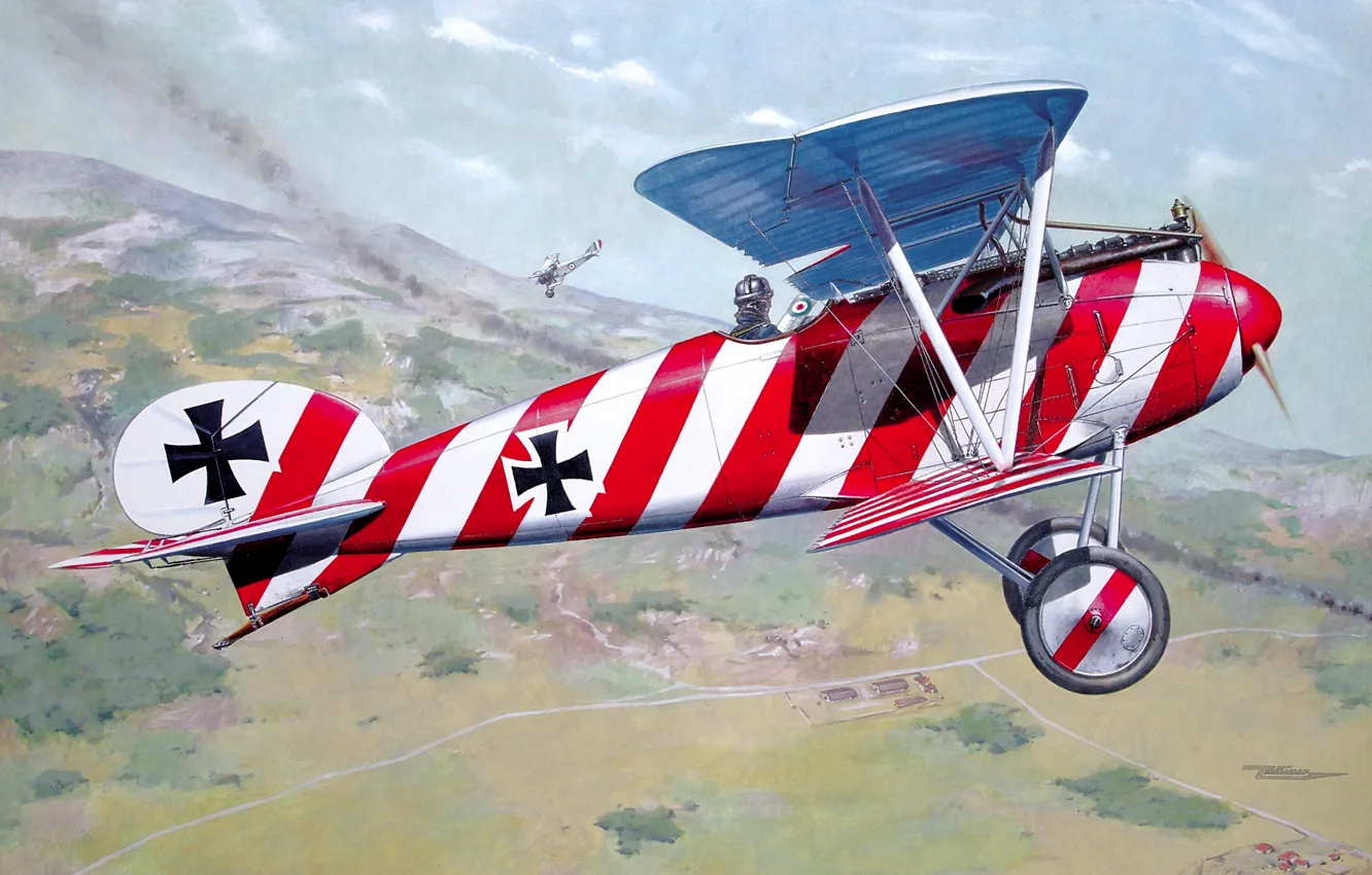 Photo wallpaper Germany, fighter, biplane, Air forces, Fighter-scout, Albatros D. III, The German Empire