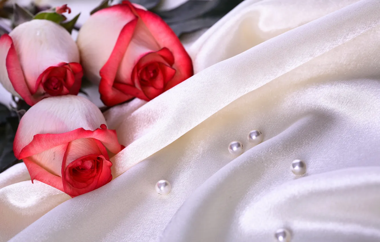 Photo wallpaper flowers, roses, silk, three, fabric, pearl, Atlas