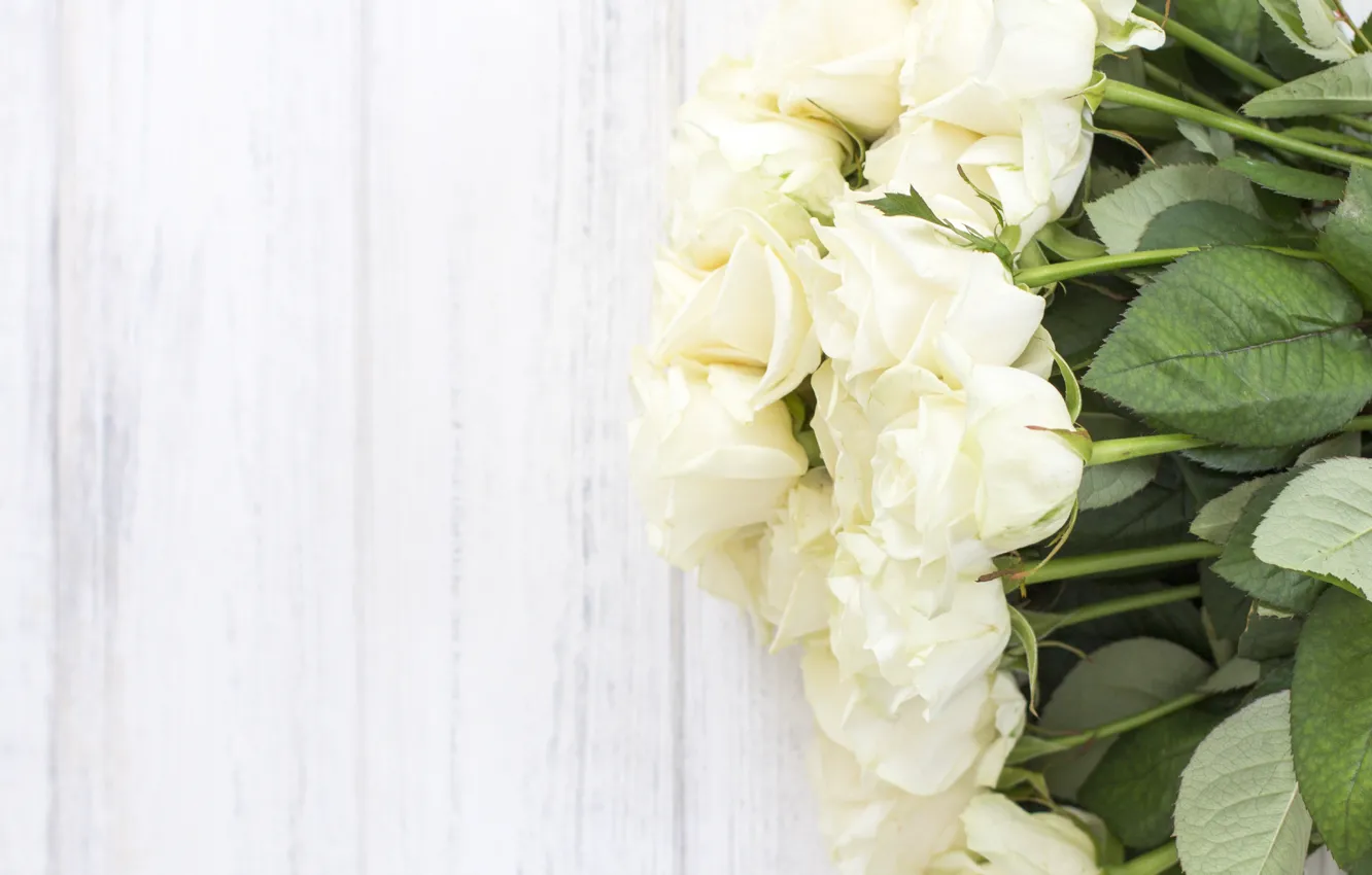 Photo wallpaper background, bouquet, buds, White roses