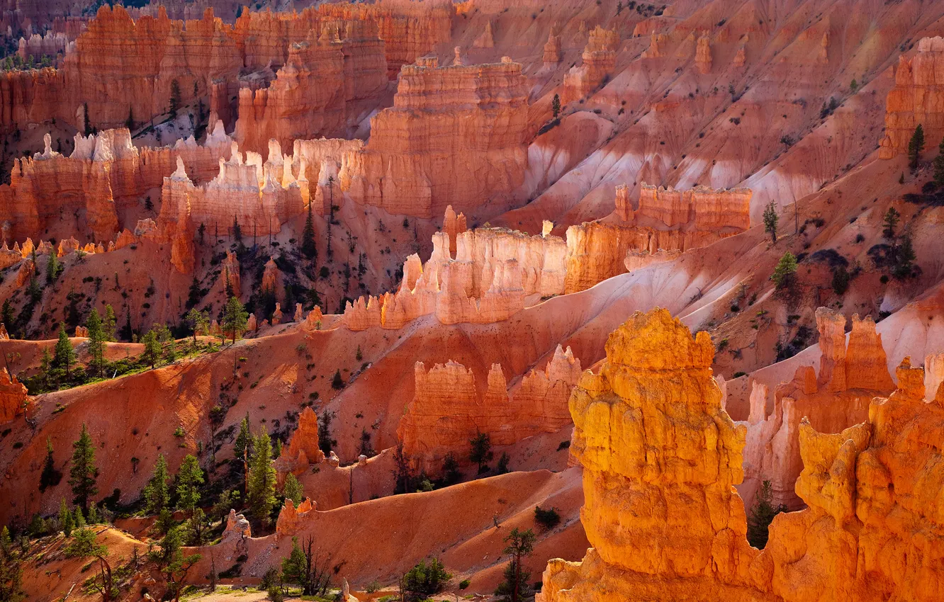Photo wallpaper orange, rocks, desert, Bryce Canyon