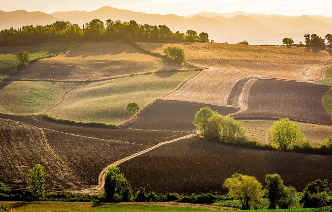 Photo wallpaper field, landscape, nature, beauty, space, panorama