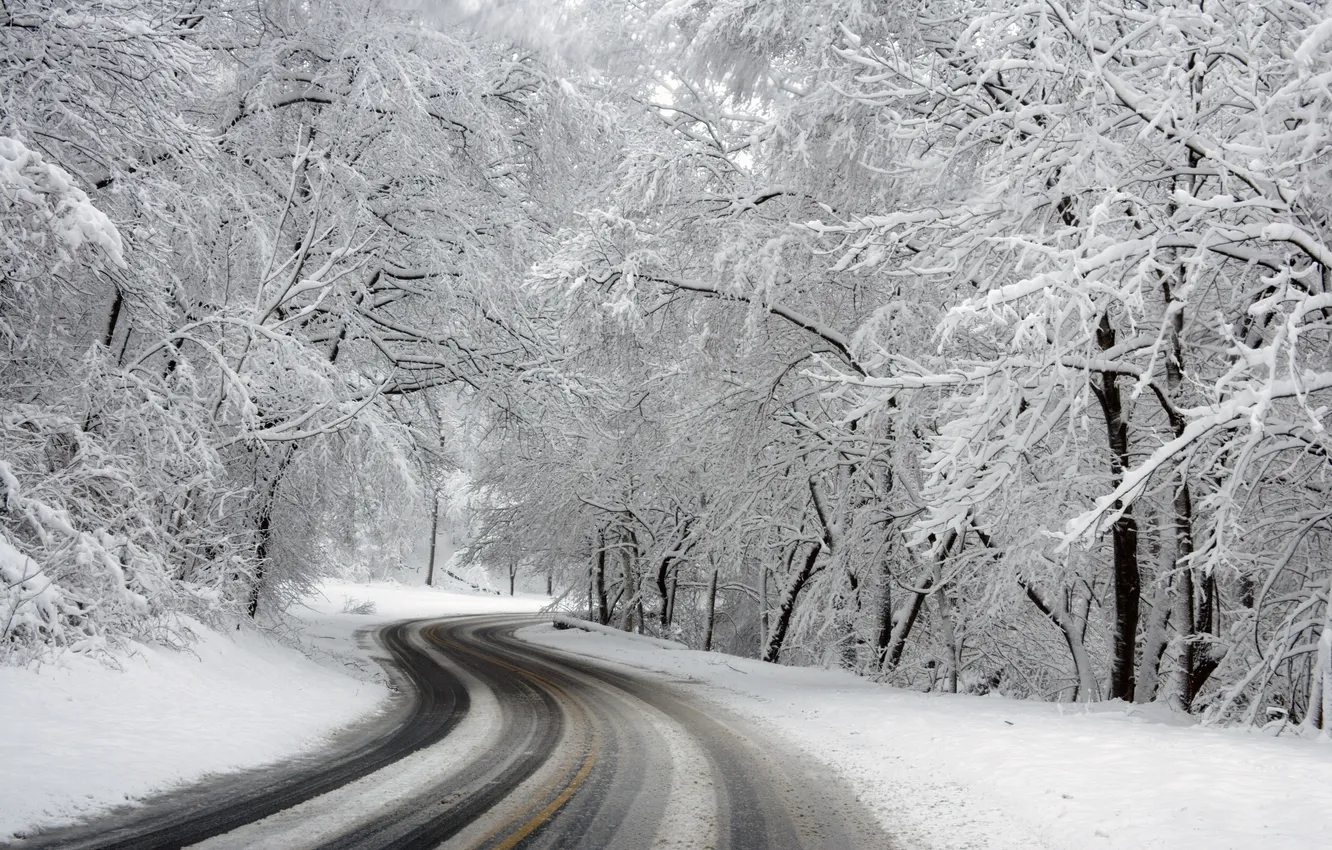 Photo wallpaper winter, road, forest, snow, trees, landscape, nature, the snow