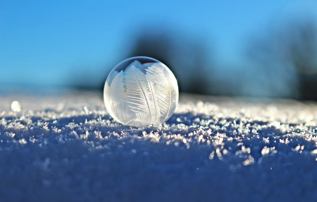 Photo wallpaper macro, macro, ball, Snow, Bubble, winter, snow, macro