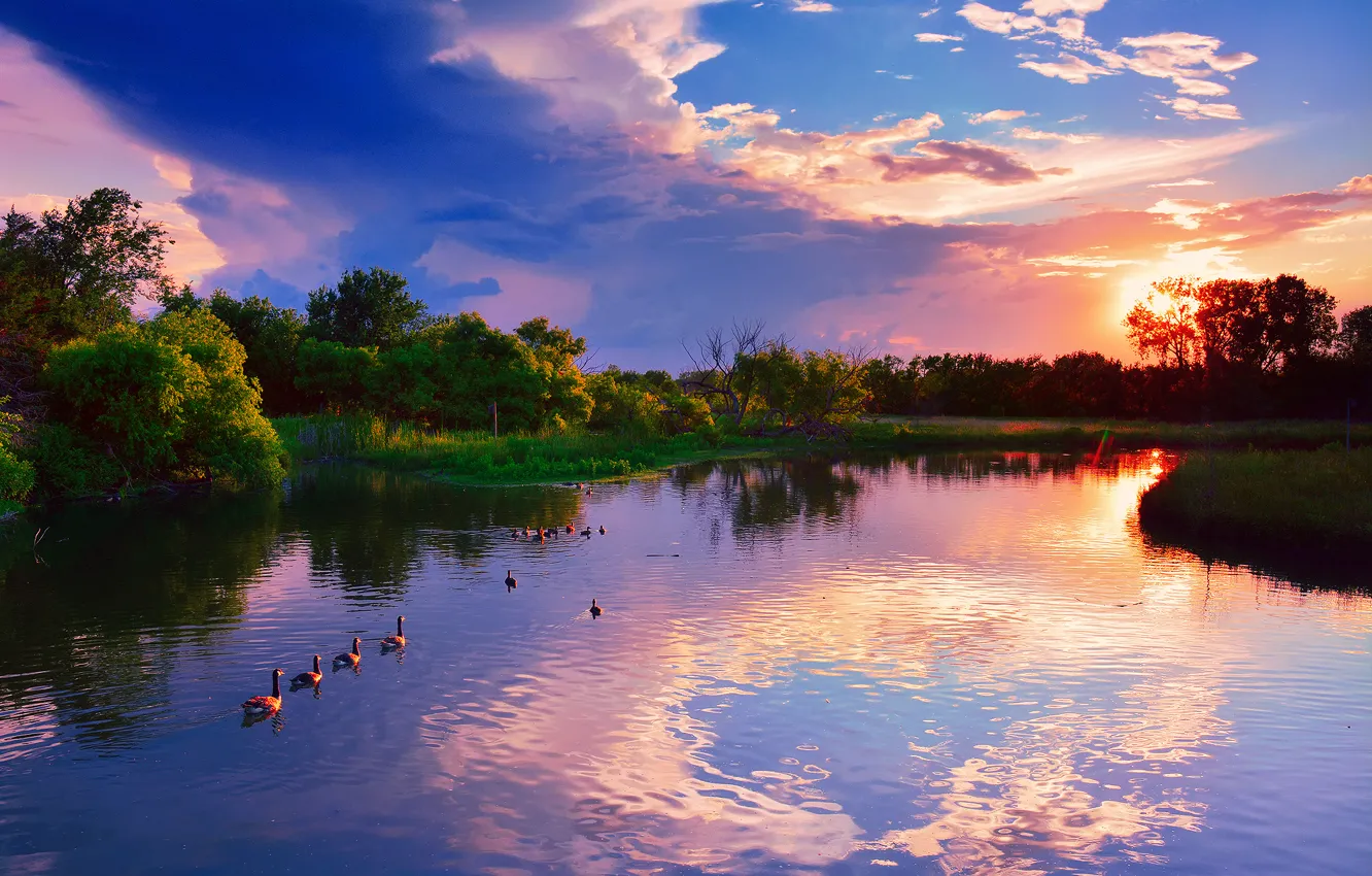Photo wallpaper summer, reflection, trees, sunset, lake, duck, USA, July