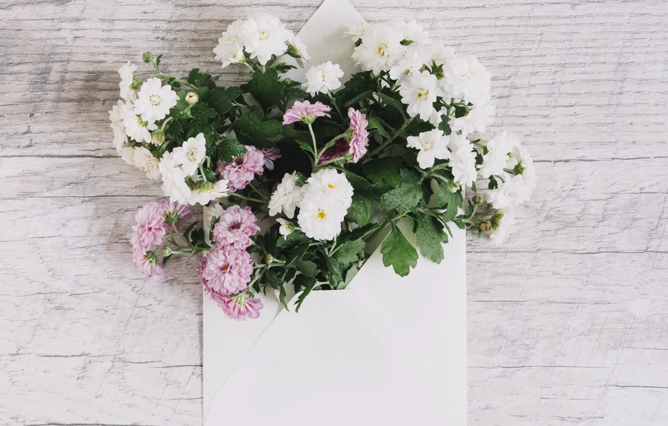 Photo wallpaper bouquet, pink, white, white, Beautiful, wood, pink, flowers