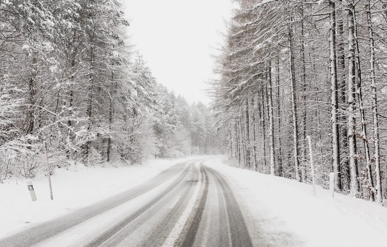 Photo wallpaper winter, road, snow, trees
