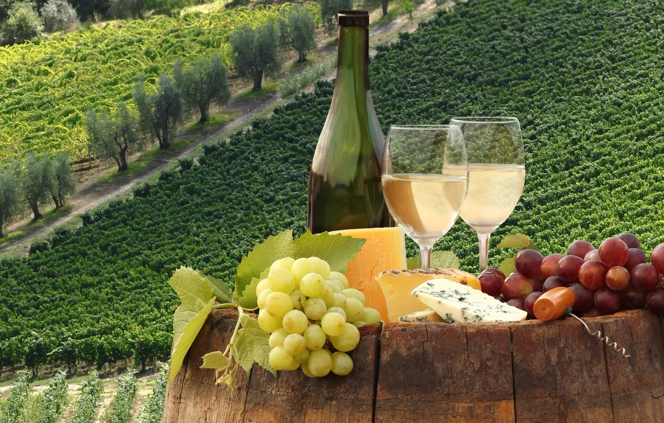 Photo wallpaper wine, cheese, grapes, vineyard, corkscrew