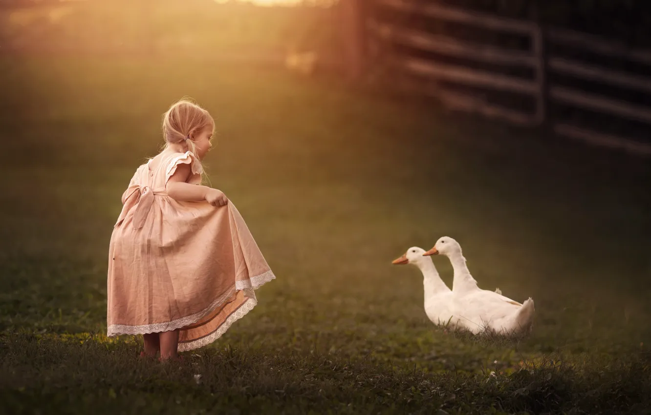 Photo wallpaper dress, girl, geese