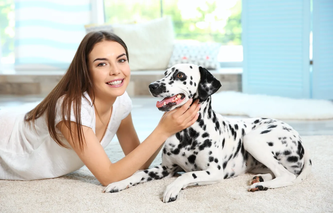 Photo wallpaper dog, dog, Dalmatian, dalmatian