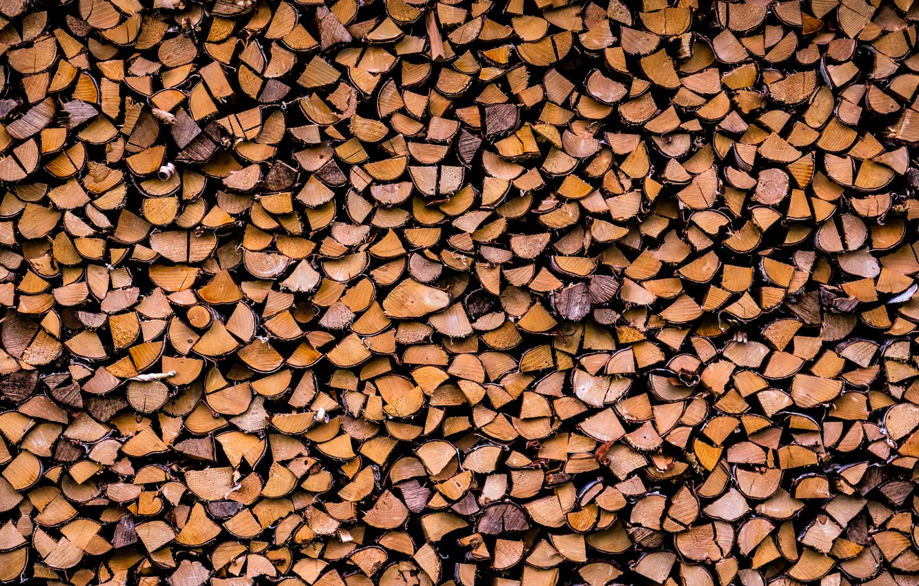 Photo wallpaper background, texture, wood