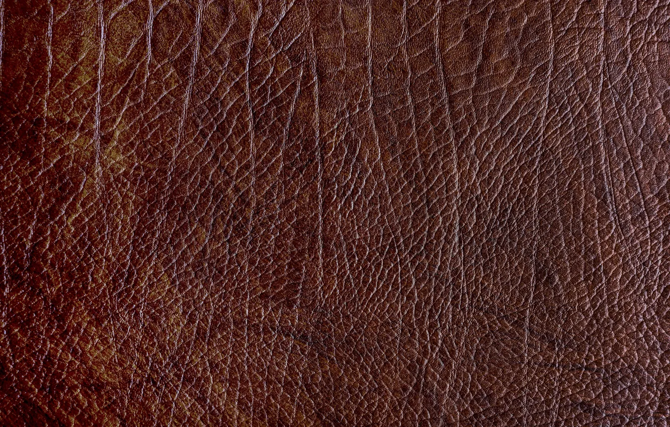 Photo wallpaper background, texture, leather, texture, brown, brown, background, leather