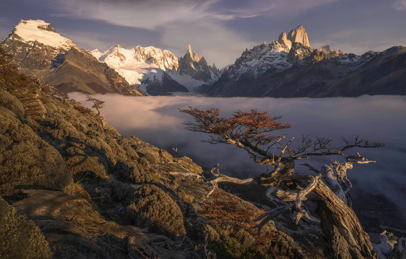 Photo wallpaper autumn, light, snow, trees, mountains, branches, fog, shore