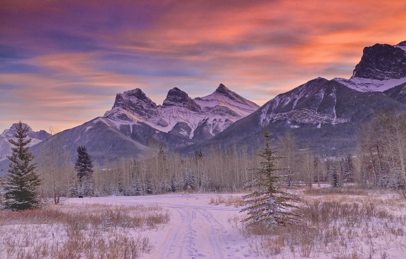 Photo wallpaper winter, road, forest, snow, mountains