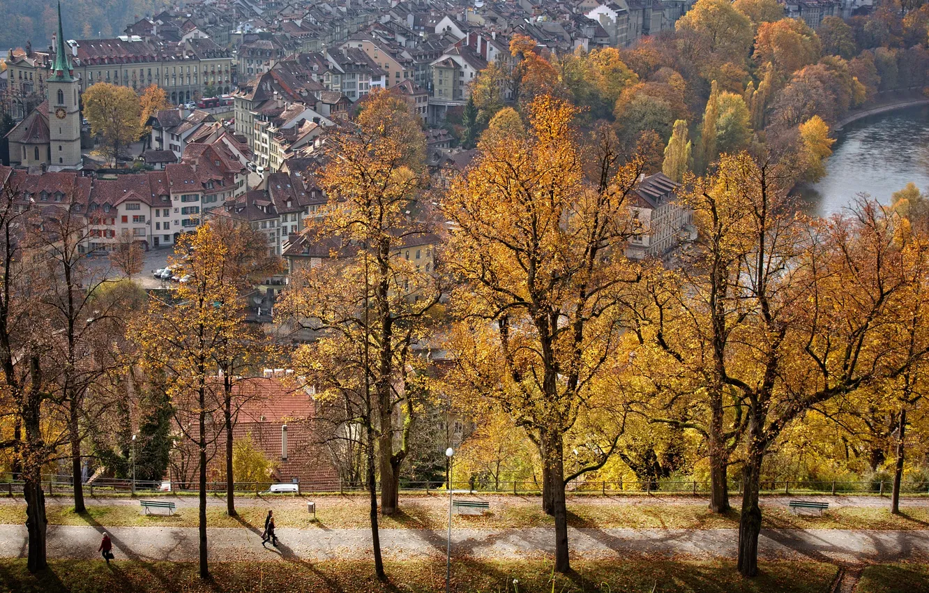 Photo wallpaper autumn, trees, view, beauty, alley, Switzerland, Bern