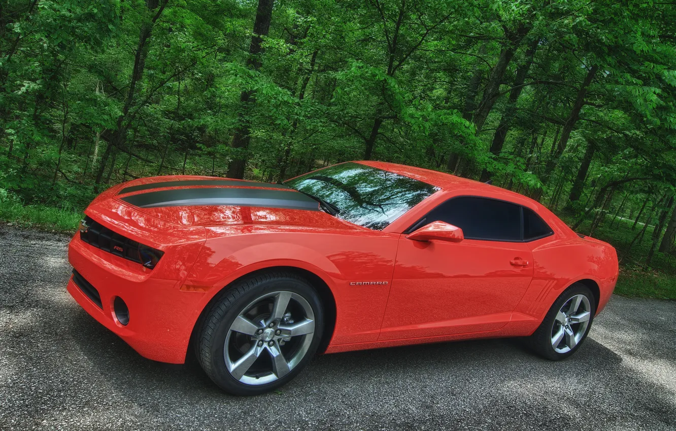 Photo wallpaper forest, Camaro, Chevy, orange