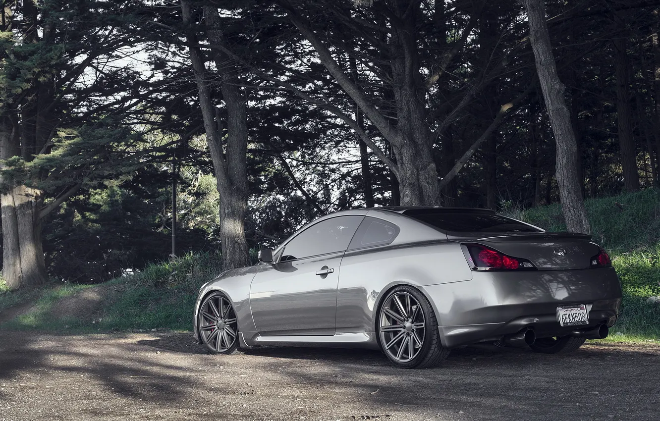 Photo wallpaper forest, Infiniti, back, G37, Graphite