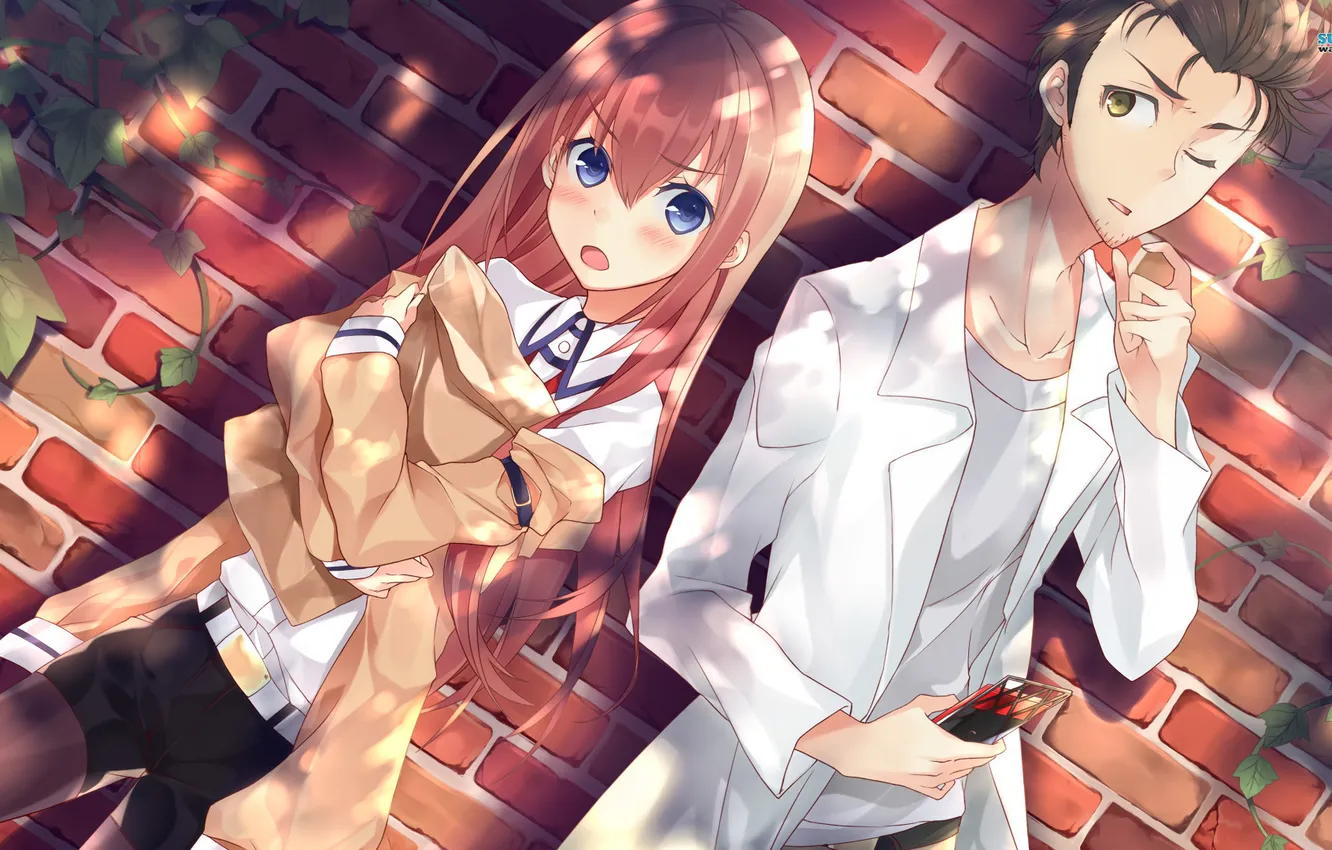 Photo wallpaper anime, steins gate, Gate Of Steiner