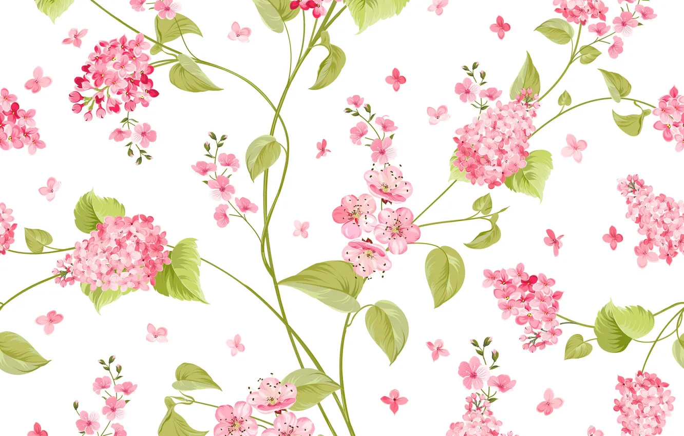 Photo wallpaper flowers, pattern, vector, texture, white background, flower