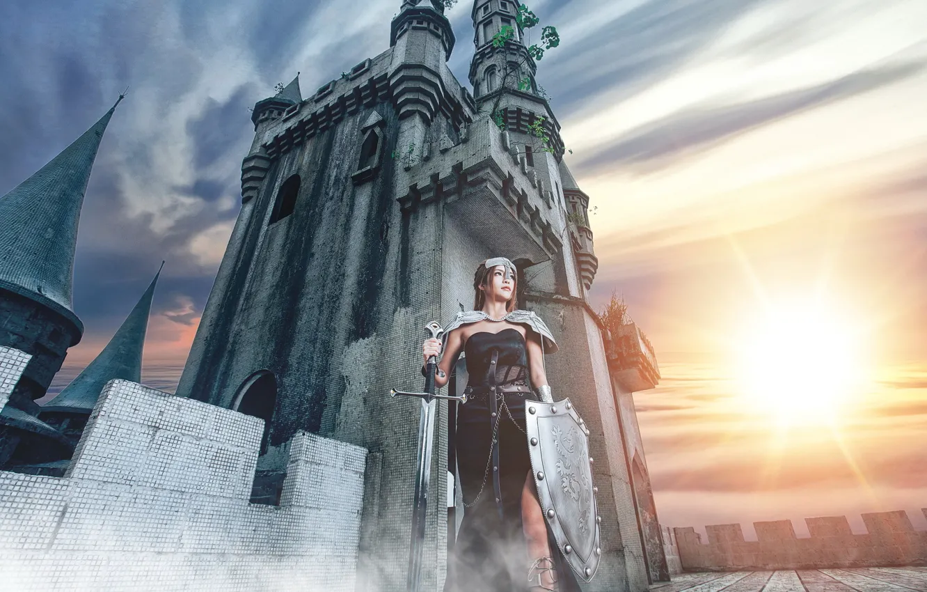 Photo wallpaper girl, castle, sword, shield