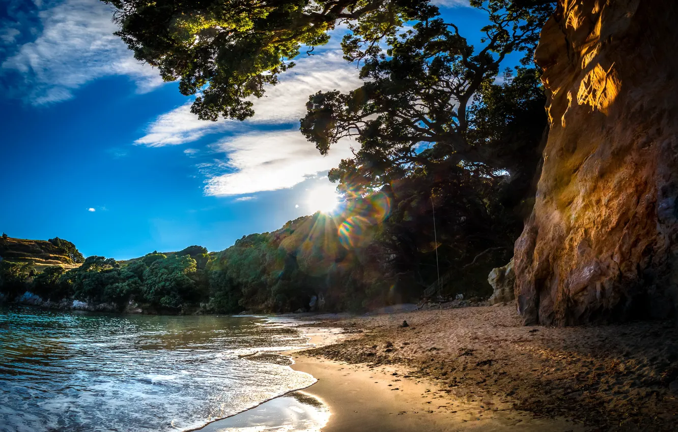 Photo wallpaper sea, the sun, trees, glare, rocks, shore, New Zealand, Tasman