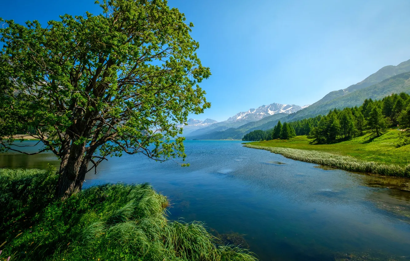 Photo wallpaper grass, landscape, mountains, nature, lake, tree, Switzerland, forest