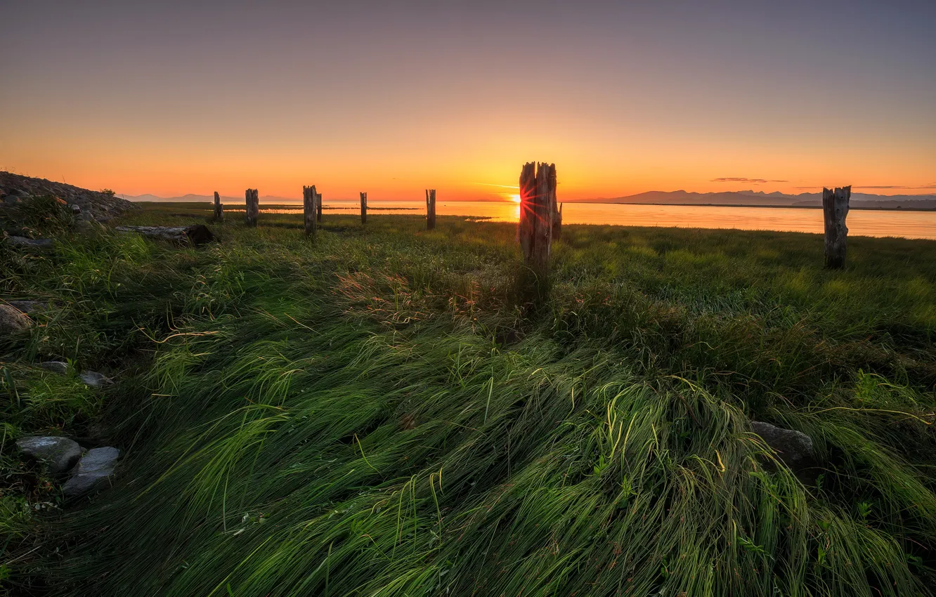 Photo wallpaper grass, sunset, shore, posts, pond