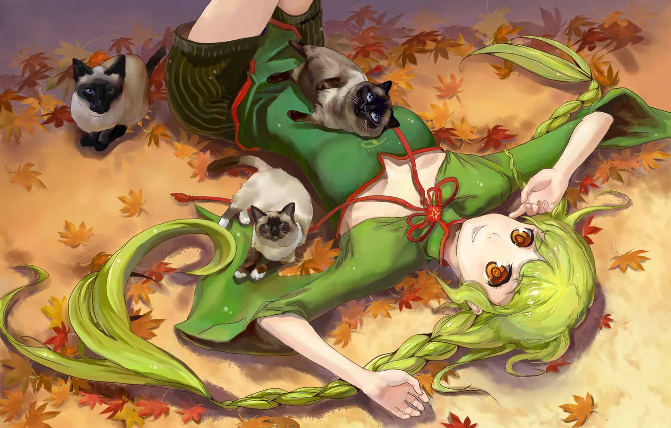 Photo wallpaper cat, girl, anime, art