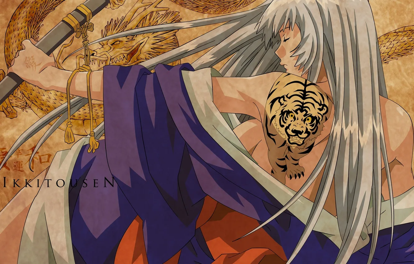 Photo wallpaper girl, tiger, the inscription, dragon, figure, back, sword, katana