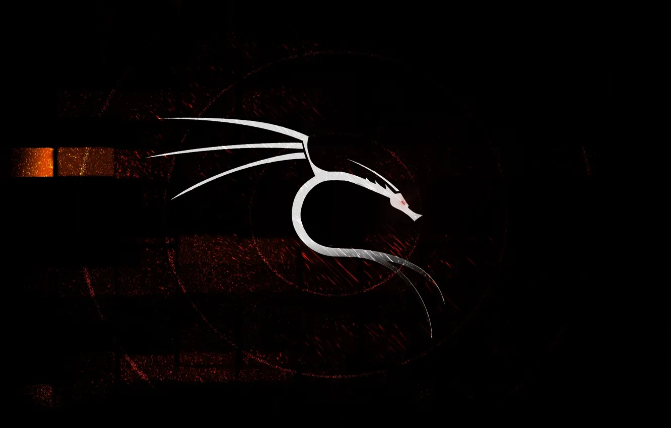 Photo wallpaper white, background, black, dragon, new year, 2012, coming, BackTrack Linux