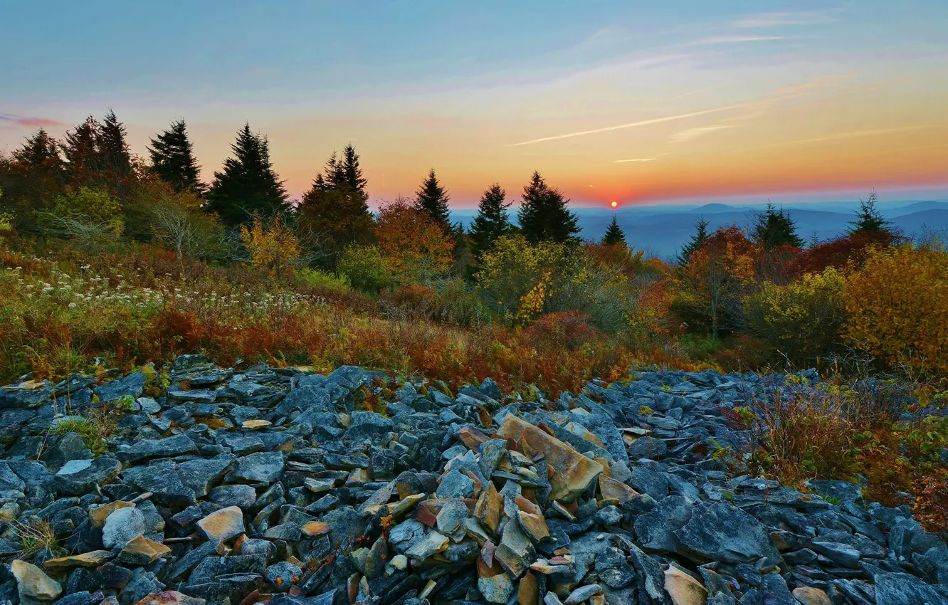 Photo wallpaper trees, mountains, stones