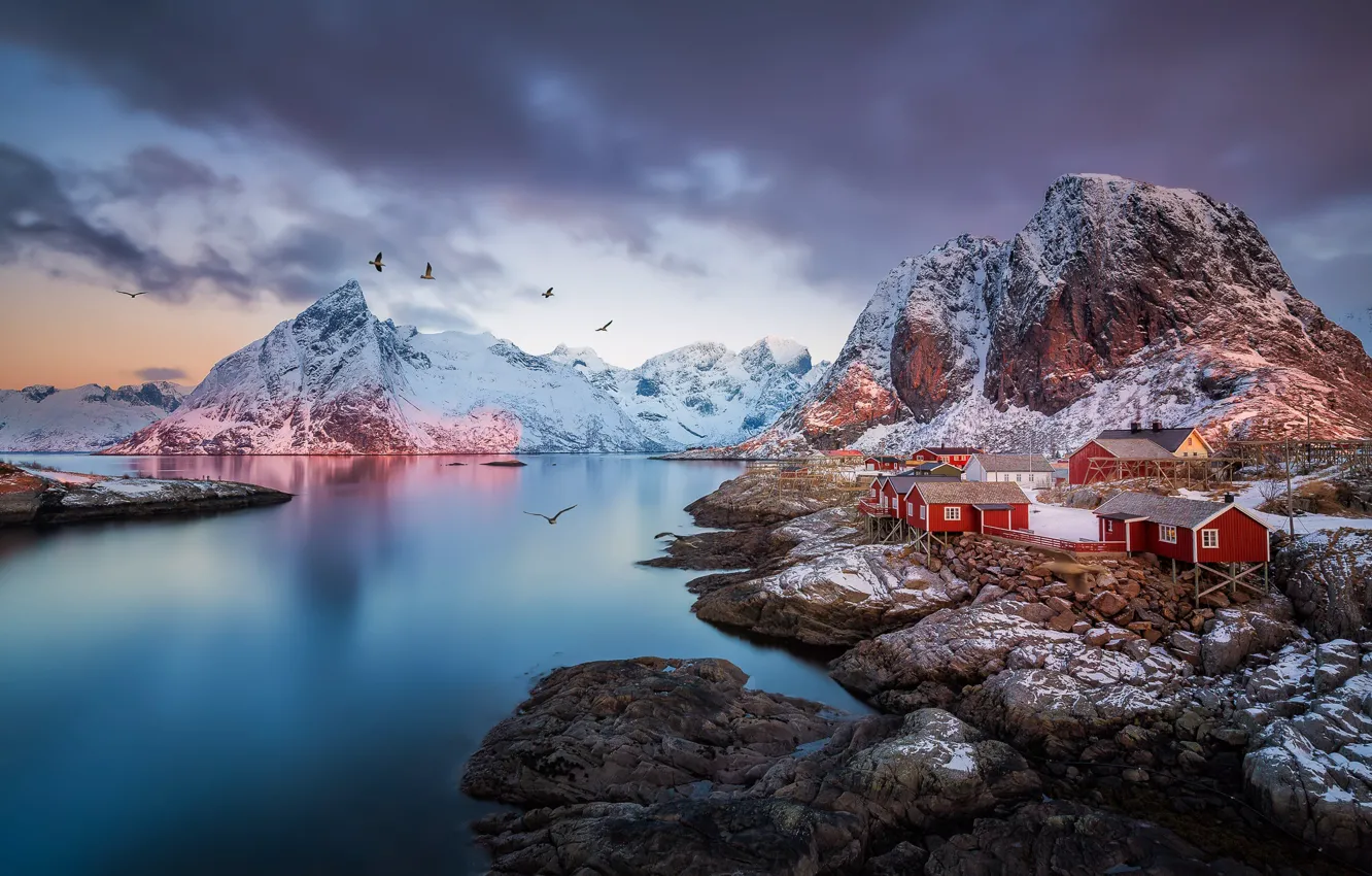 Photo wallpaper mountains, birds, rocks, Norway, the village, the fjord, The Lofoten Islands