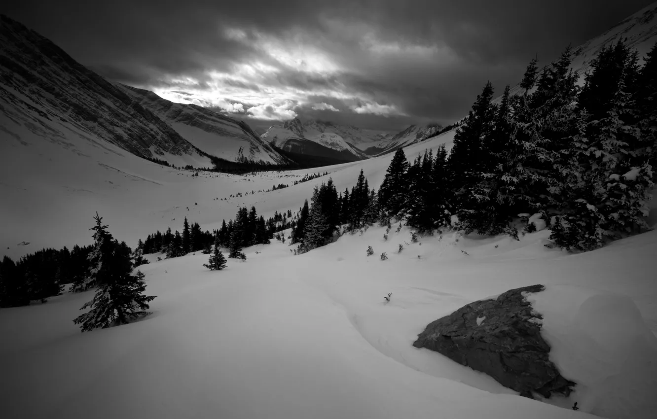 Photo wallpaper winter, mountains, snow