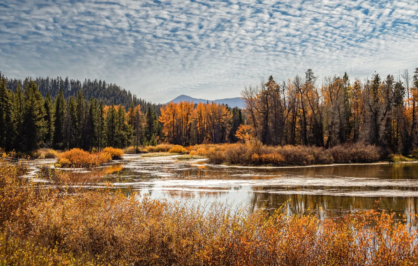 Photo wallpaper autumn, forest, the sky, clouds, trees, mountains, branches, lake