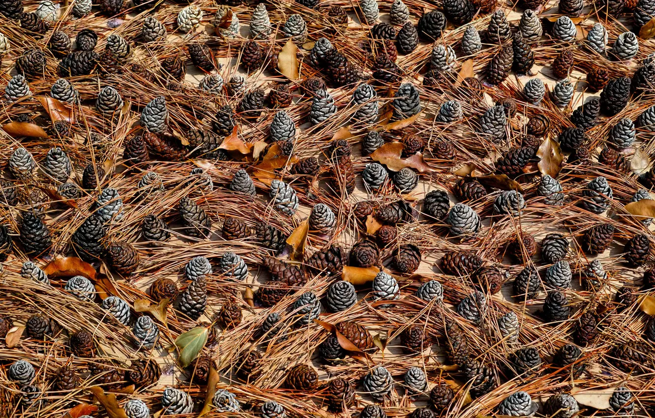 Photo wallpaper leaves, nature, background, bumps