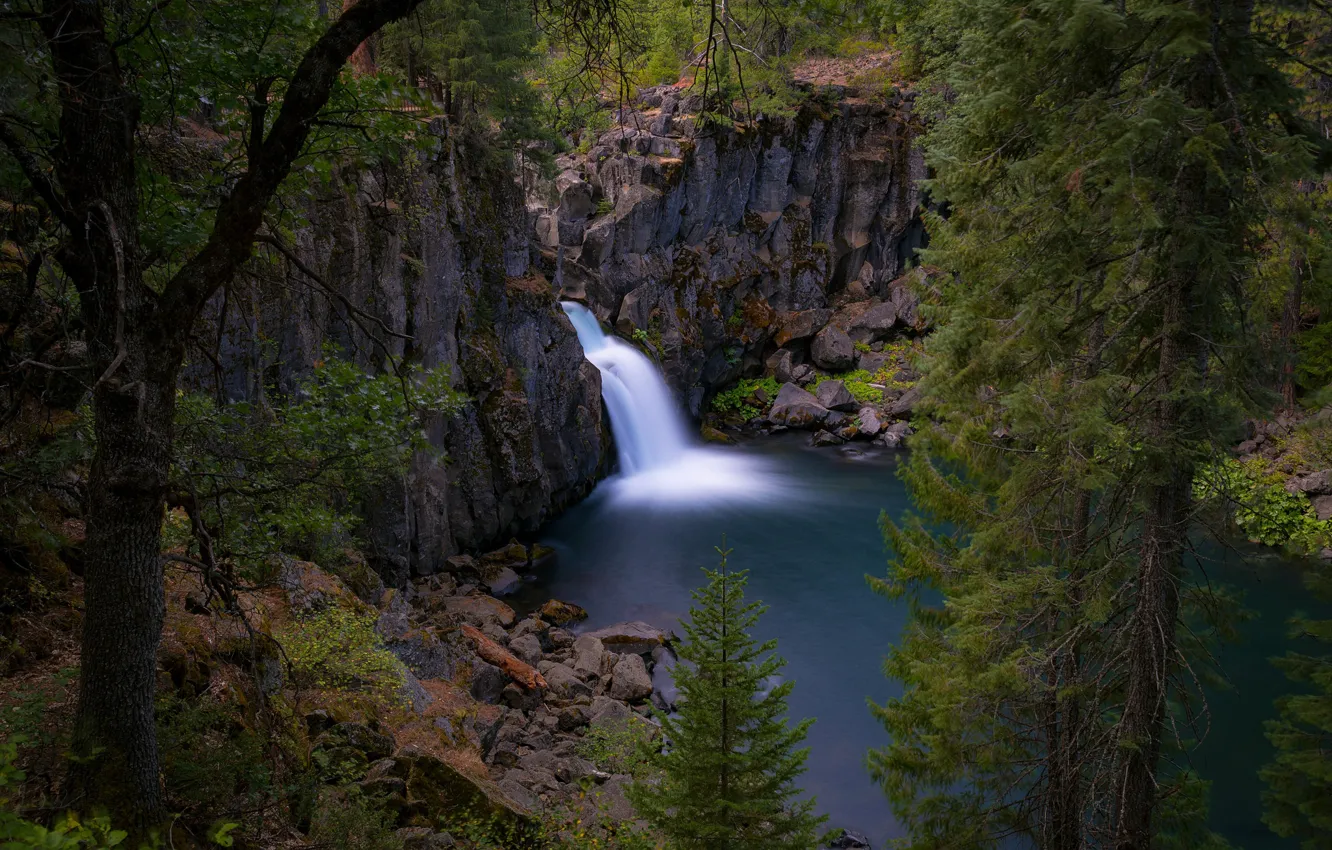 Photo wallpaper trees, lake, rocks, waterfall, CA, California, Upper McCloud Falls, McCloud River