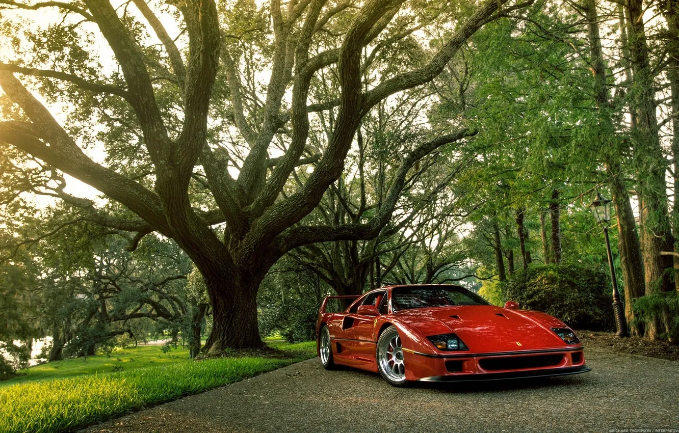 Photo wallpaper nature, Shine, Ferrari, red