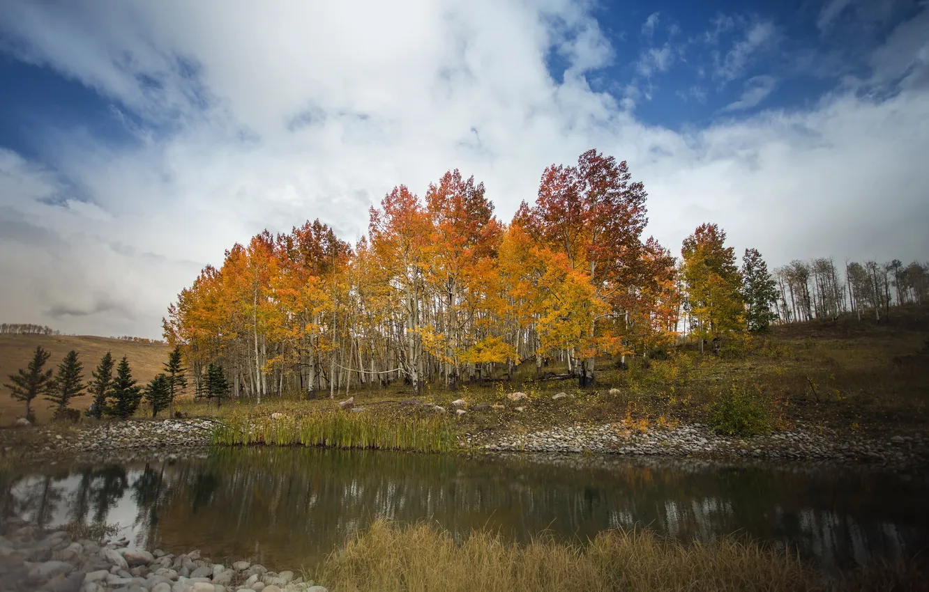 Photo wallpaper autumn, trees, lake