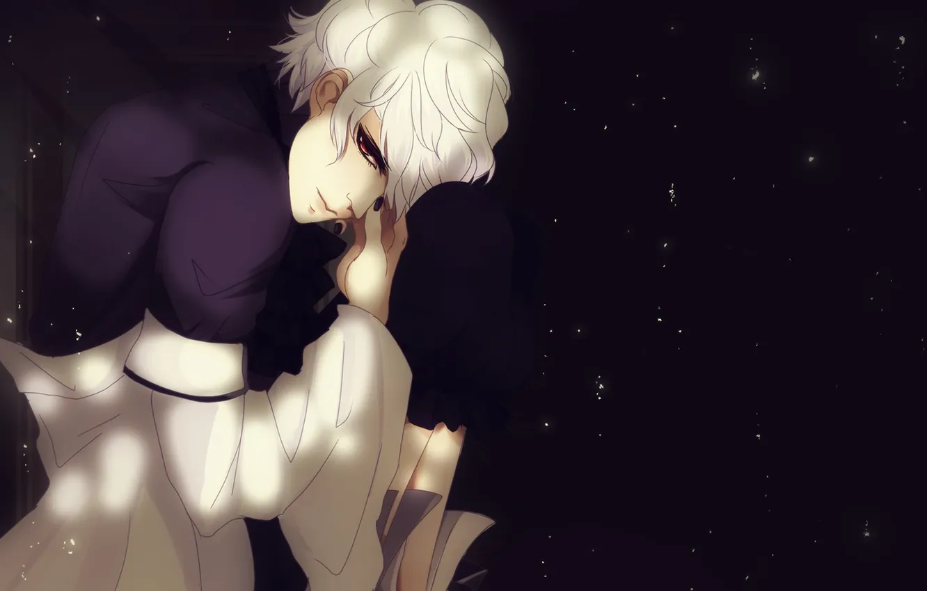 Photo wallpaper guy, sitting, red eyes, white hair, pandora hearts, Xerses Break