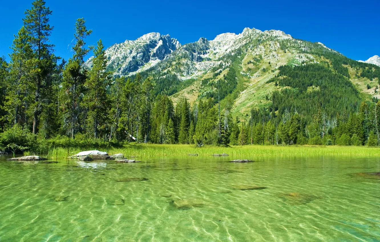 Photo wallpaper water, landscape, mountains, nature, Park, photo, USA, Grand Teton