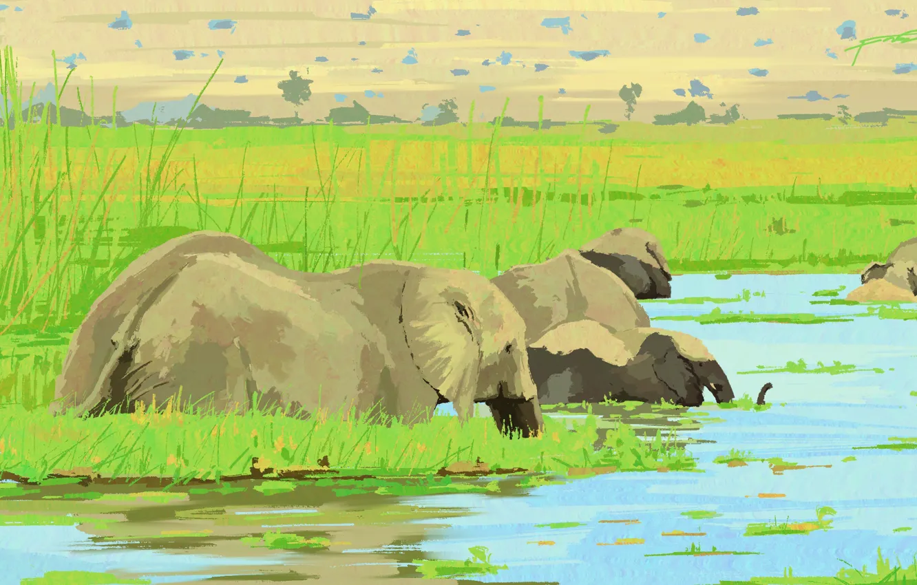 Photo wallpaper nature, river, elephant, by Fangpeii