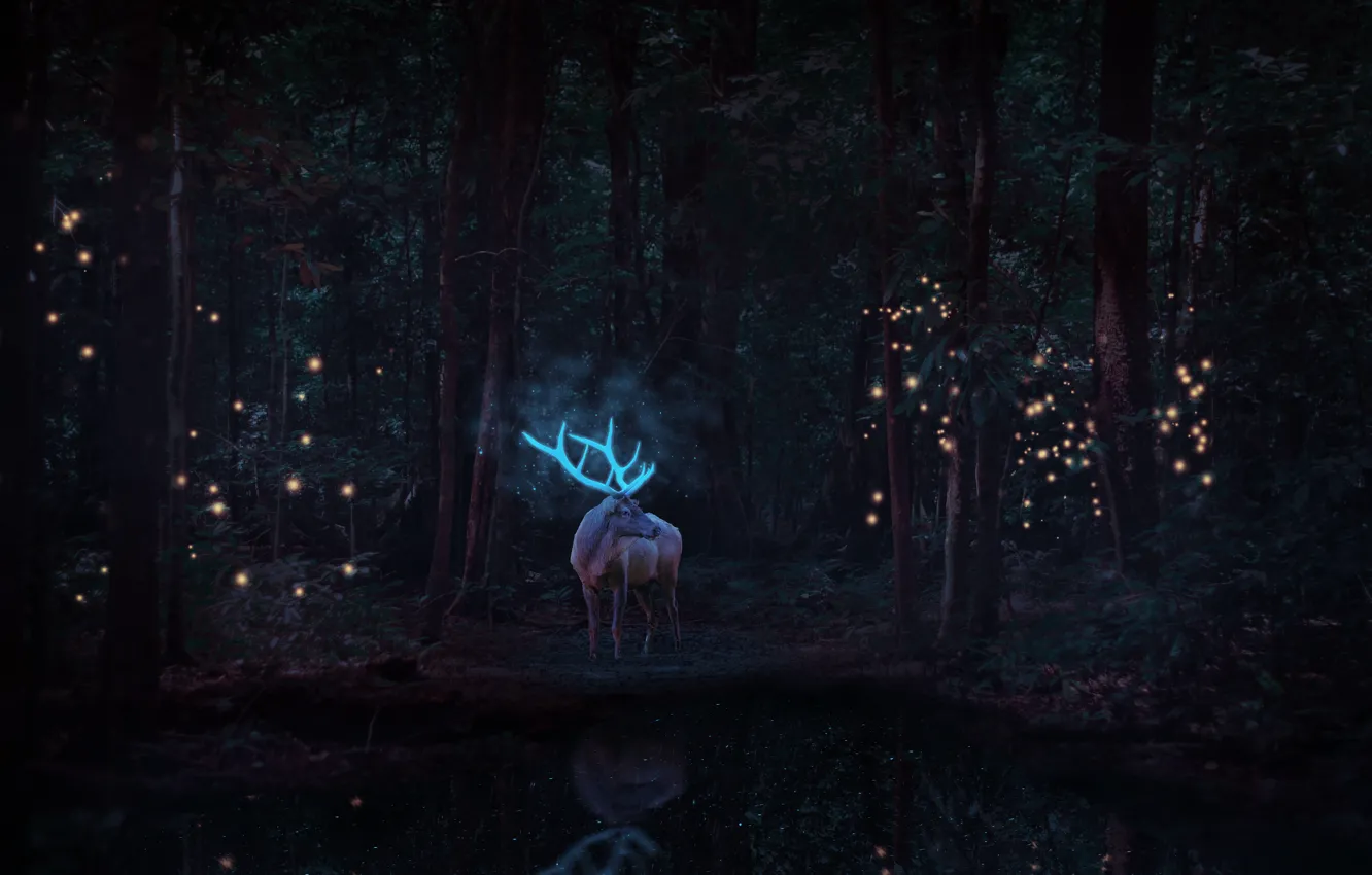 Photo wallpaper graphics, wallpaper, forest, horns, glow, Neon, deer