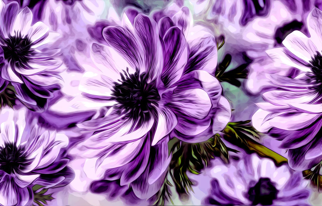 Photo wallpaper Graphics, Flower, Anemone