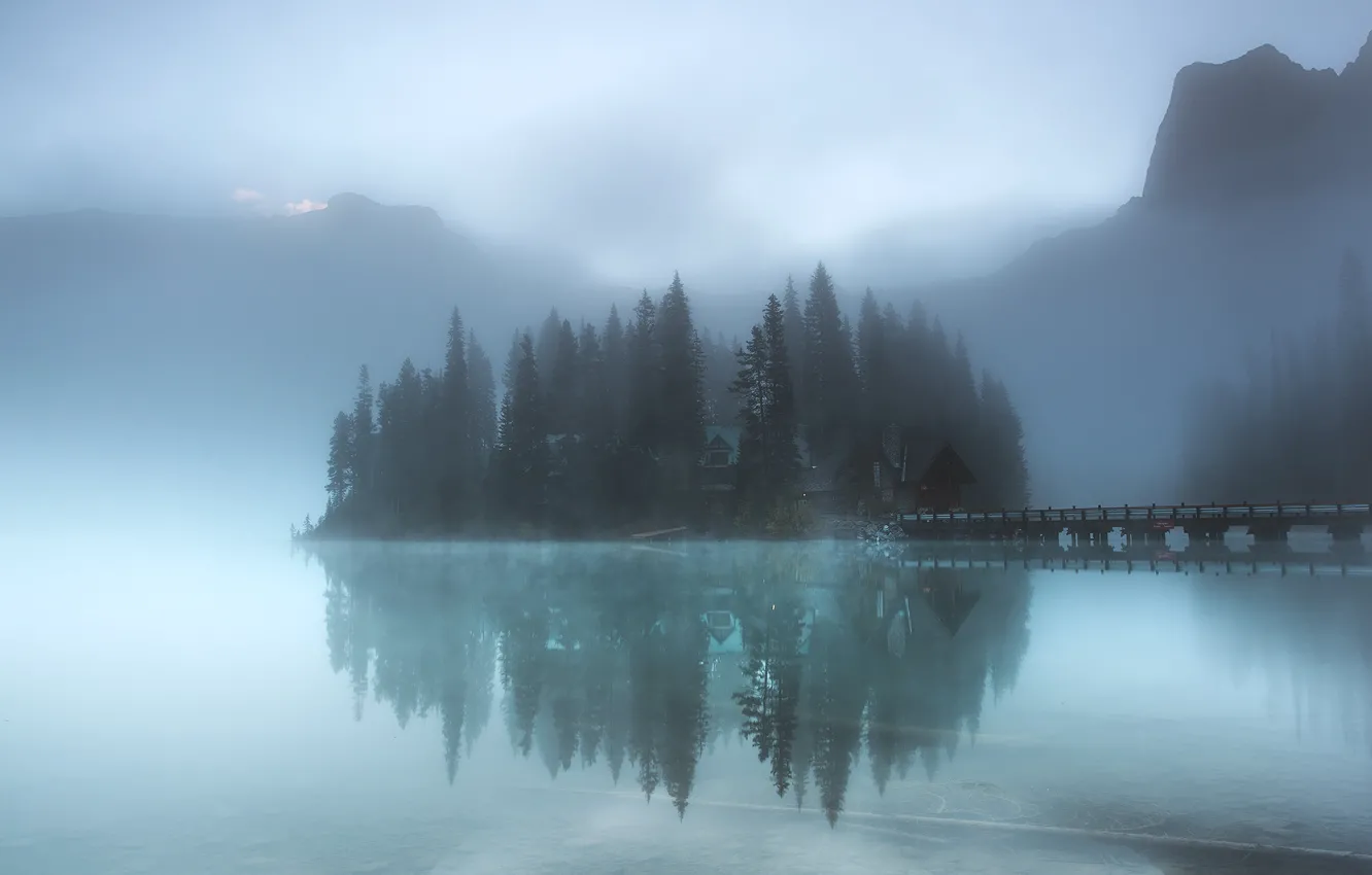 Photo wallpaper forest, lake, island, fog