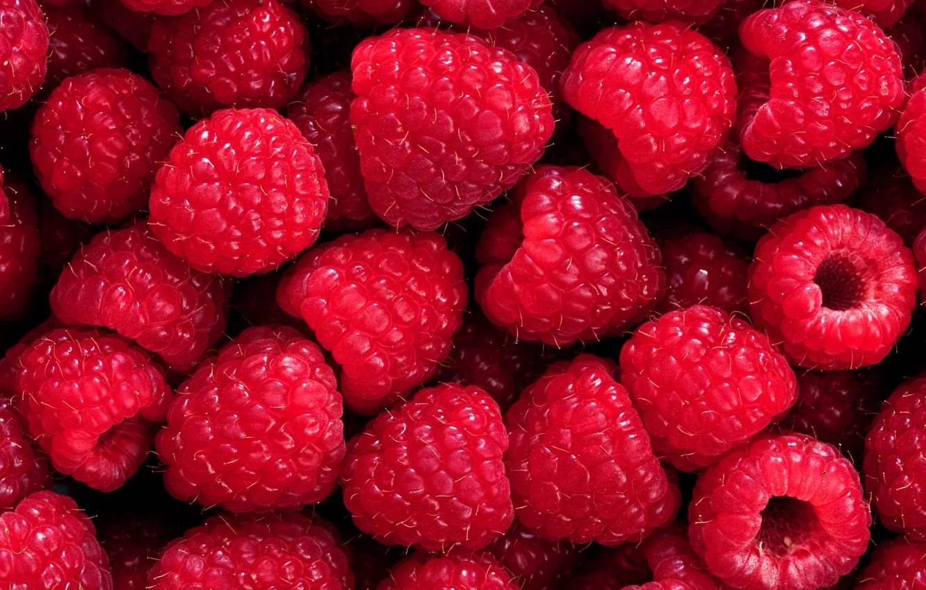 Photo wallpaper berries, raspberry, background, background, Raspberry