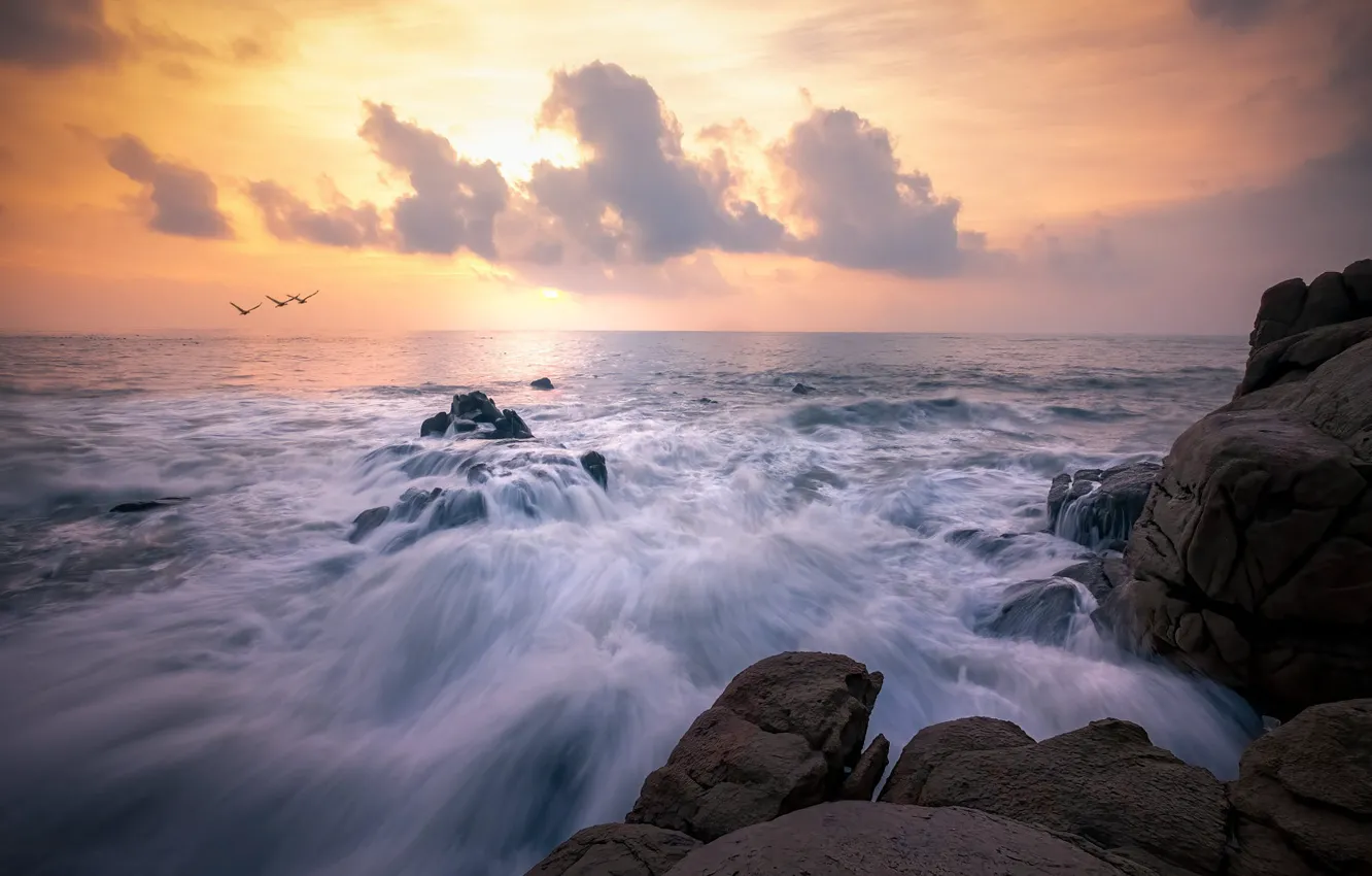 Photo wallpaper sea, wave, the sky, stones, shore, seagulls